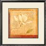 Ancient Magnolias Ii by Lewman Zaid Limited Edition Print