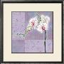 Pink Joanie Orchid by Eleanor Rahim Limited Edition Print