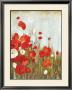 Poppies In The Wind by Asia Jensen Limited Edition Pricing Art Print