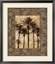 Palm Collage Ii by John Seba Limited Edition Print