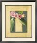 Flor De Madera Ii by Calles Limited Edition Print