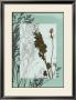 Translucent Wildflowers Ii by Jennifer Goldberger Limited Edition Pricing Art Print