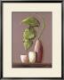 Jarron Con Hojas I by Luisa Romero Limited Edition Pricing Art Print