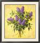 Lilac Season Ii by Telander Limited Edition Pricing Art Print