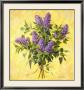 Lilac Season Ii by Telander Limited Edition Print