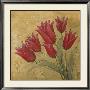 Red Tulips by Cristina Valades Limited Edition Pricing Art Print