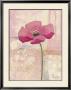 Verzauberter Mohn Ii by Milena More Limited Edition Pricing Art Print