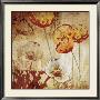 Poppy Heat I by Tandi Venter Limited Edition Pricing Art Print