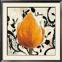 Orange Tulip by Joadoor Limited Edition Print