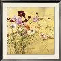 Claire Basler Pricing Limited Edition Prints