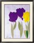 Tulipan Ii by Celeste Limited Edition Pricing Art Print