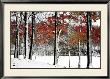 Snowfall by Burney Lieberman Limited Edition Print