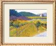 The Weingut by Gail Wells-Hess Limited Edition Print
