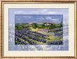 Luscious Lavender by Katharina Schottler Limited Edition Print