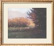 Montlake Hedge by Marc Bohne Limited Edition Print