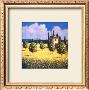 Sun Kissed Orchard I by David Short Limited Edition Print