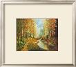 Waldbach by Johannes Bochmann Limited Edition Print