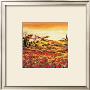 Valley Of Poppies (Detail) by Richard Leblanc Limited Edition Print