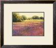 Field Of Blue Flax by Mary Morrison Limited Edition Pricing Art Print