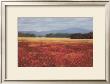 French Poppy Fields by David Schock Limited Edition Pricing Art Print