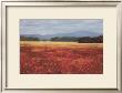 French Poppy Fields by David Schock Limited Edition Print