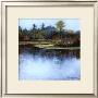 Arboretum Iii by Pat Meras Limited Edition Print