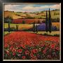 Fields Of Poppies Ii by T. C. Chiu Limited Edition Pricing Art Print