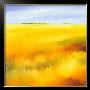 Yellow Fields Ii by Hans Paus Limited Edition Print