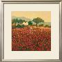 Poppy Field Near Aix-En-Provence by Hazel Barker Limited Edition Pricing Art Print