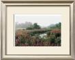 Morning Mist by Harvey Edwards Limited Edition Print