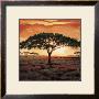 Masai Tree by Madou Limited Edition Print