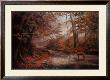 Woodland Stream by Elizabeth Halstead Limited Edition Pricing Art Print