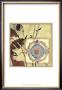 Printed Moonlit Rosette I by Jennifer Goldberger Limited Edition Print