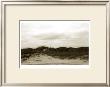 Ocracoke Dune Study I by Jason Johnson Limited Edition Pricing Art Print