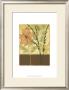 Printed Tranquil Garden Ii by Jennifer Goldberger Limited Edition Print