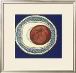 Fanciful Fruits I by Chariklia Zarris Limited Edition Print