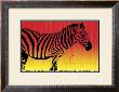 Zebra Dawn by Susann & Frank Parker Limited Edition Print