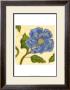 Annie Blue I by Karen Deans Limited Edition Pricing Art Print