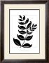 Leaf Silhouette Ii by Chariklia Zarris Limited Edition Pricing Art Print