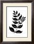 Leaf Silhouette Ii by Chariklia Zarris Limited Edition Print