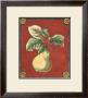 Poire De Portugal by Pierre-Joseph D'avoine Limited Edition Print