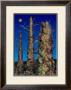 Trees by Afanassy Pud Limited Edition Pricing Art Print