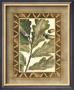 Rustic Oak Ii by Deborah Bookman Limited Edition Print