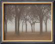 Early Morning by Keith Levit Limited Edition Print
