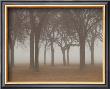 Early Morning by Keith Levit Limited Edition Pricing Art Print