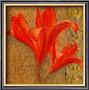 Stone Lilies by Courtland Limited Edition Pricing Art Print