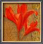 Stone Lilies by Courtland Limited Edition Print