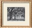 Oak Grove Ii by Boyce Watt Limited Edition Print