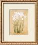 Flower Iv by Brigitte Beliose Limited Edition Pricing Art Print