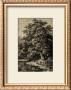 Oak Tree by Ernst Heyn Limited Edition Print